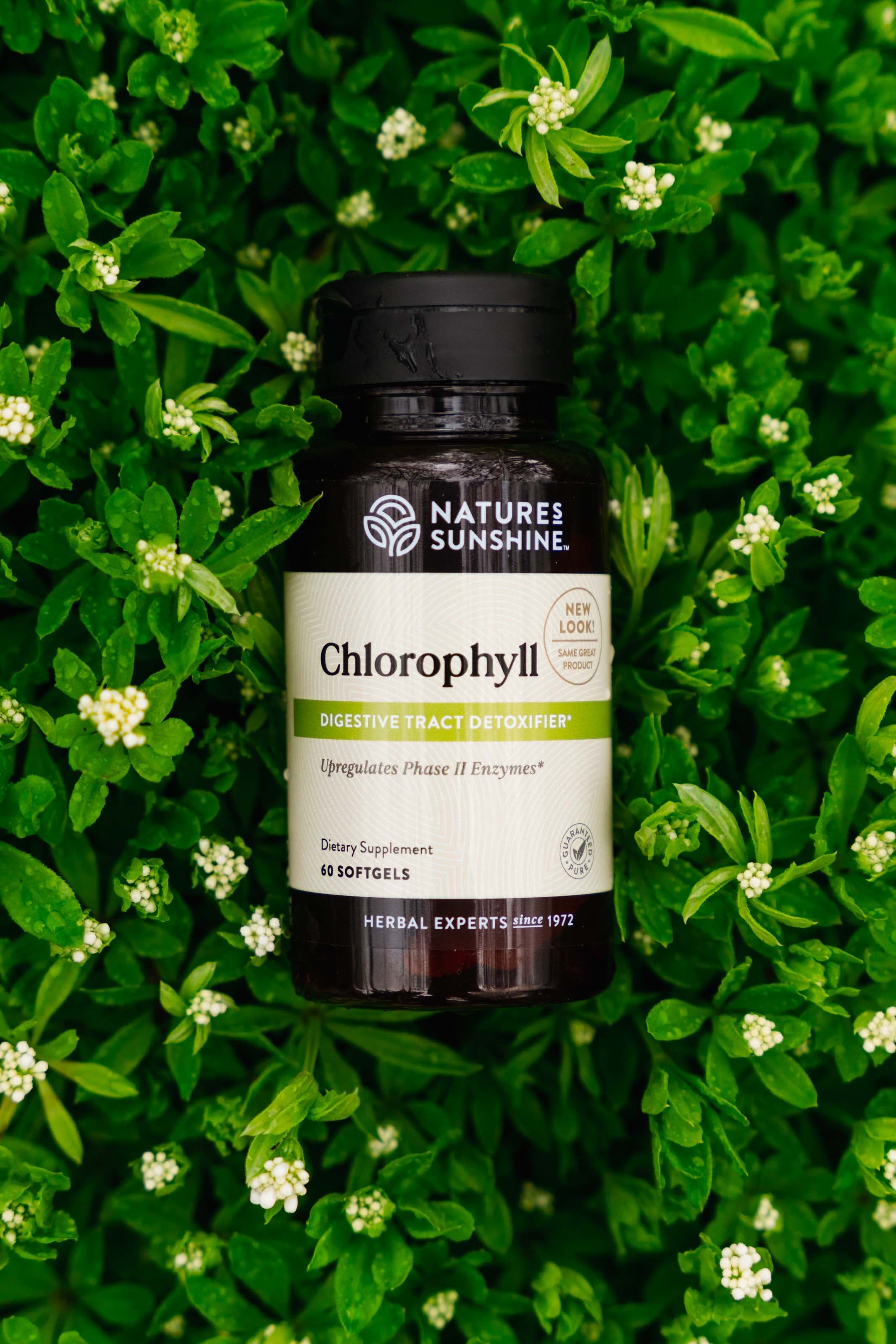 Product photo 10 by Christian Raguse