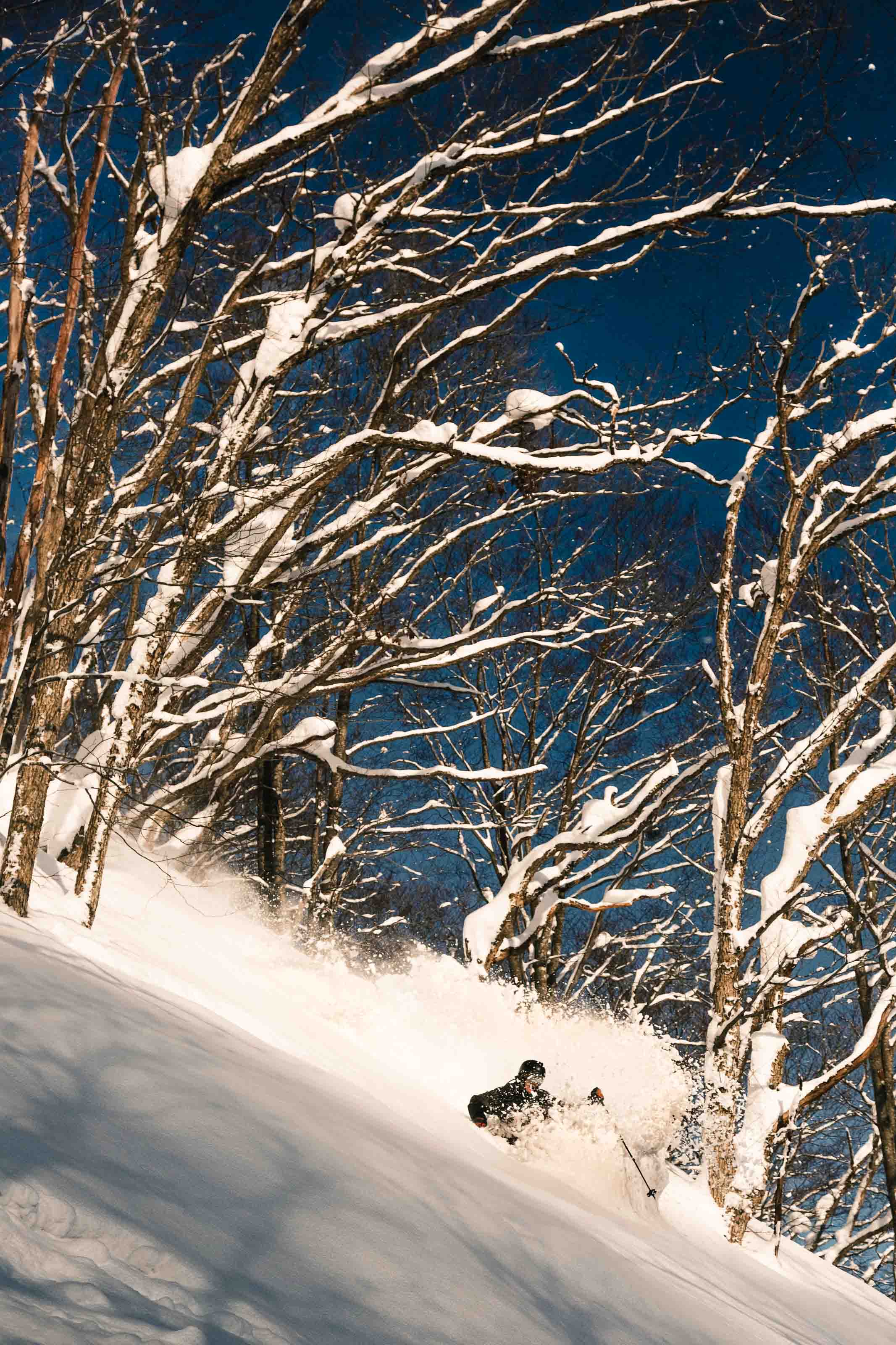 Ski photo 22 by Christian Raguse