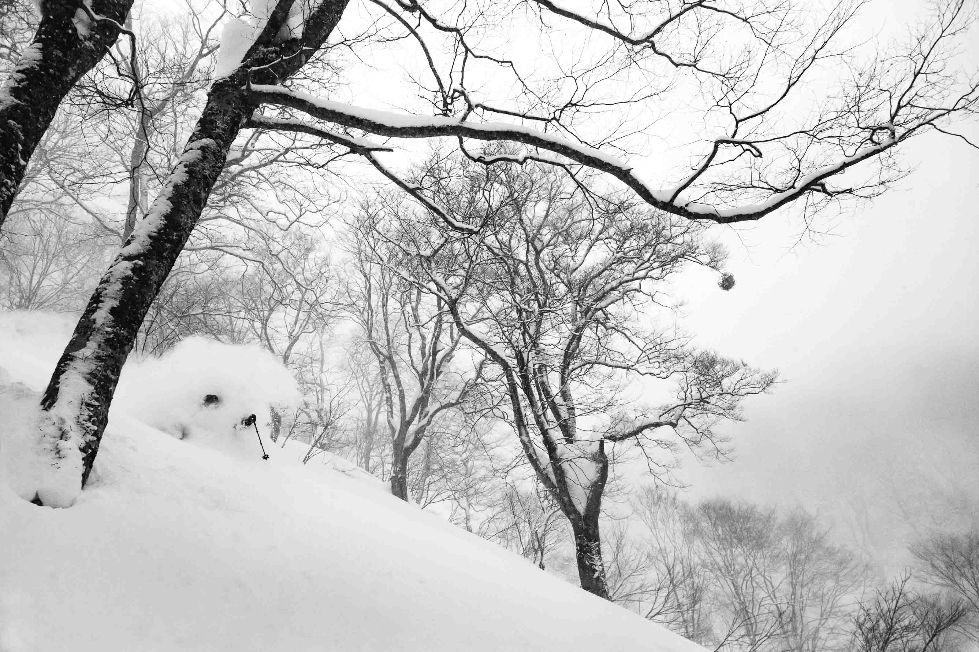 Ski photo 25 by Christian Raguse