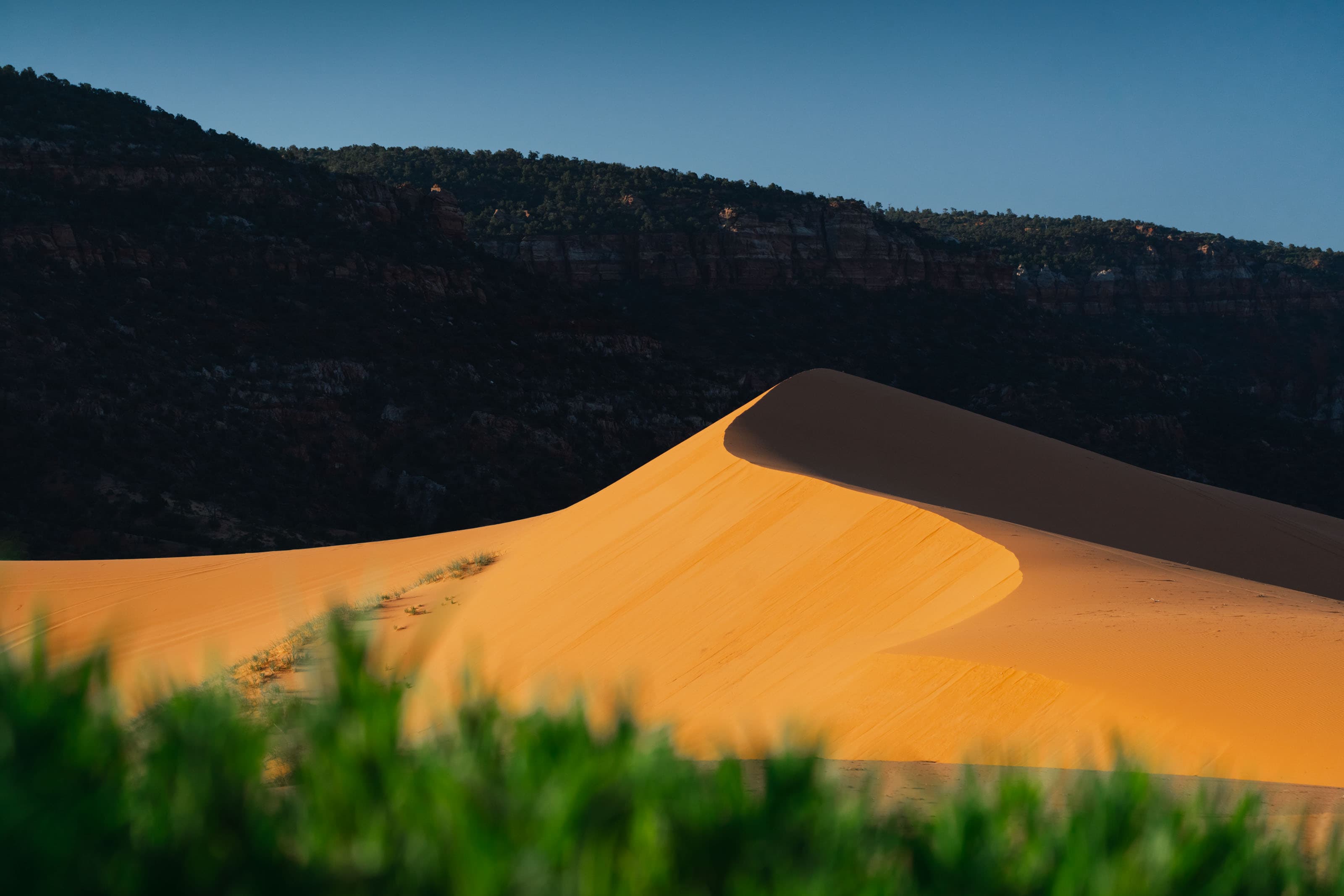 Wildlife photo 4 by Christian Raguse