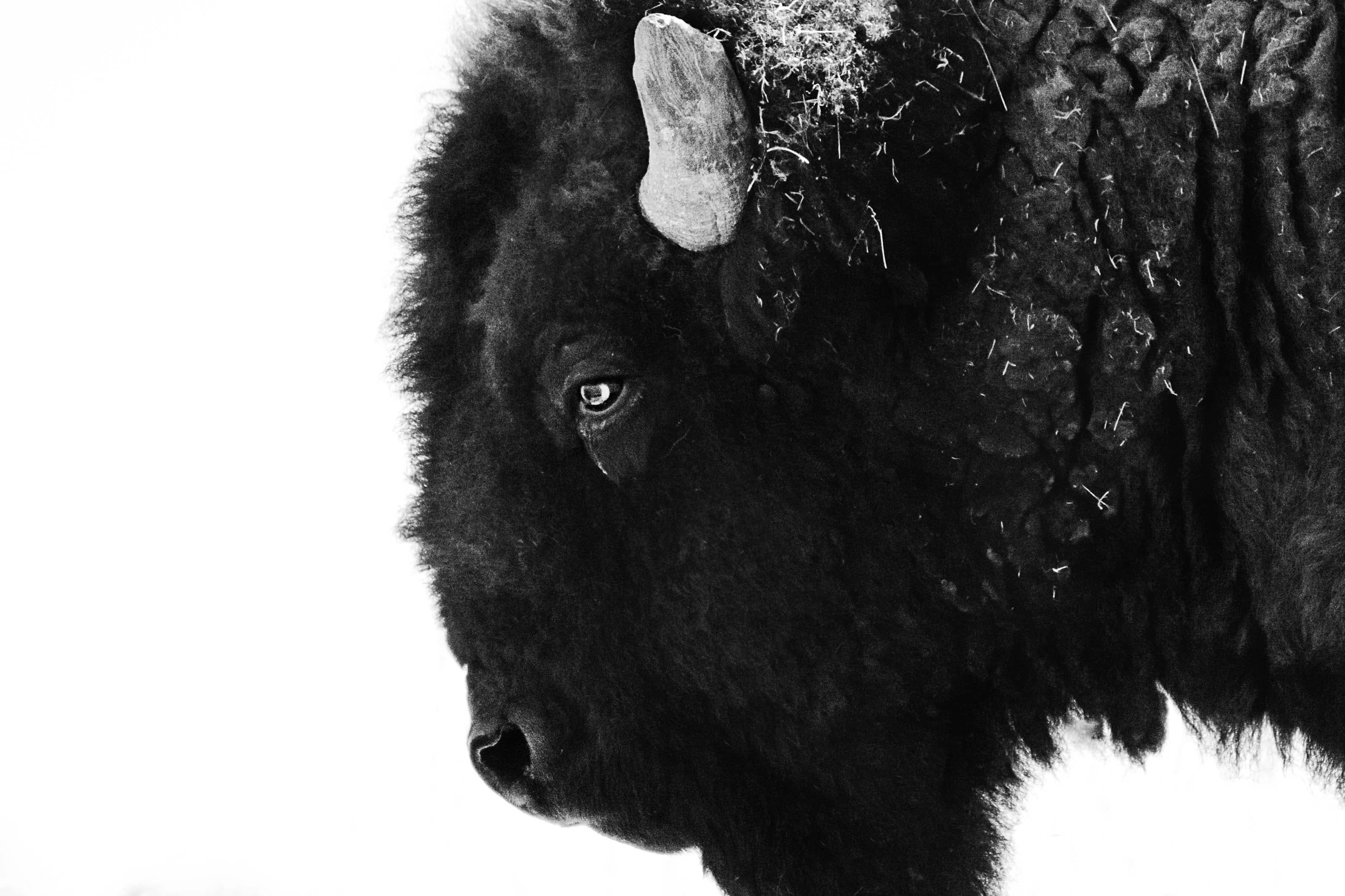 Wildlife photo 6 by Christian Raguse