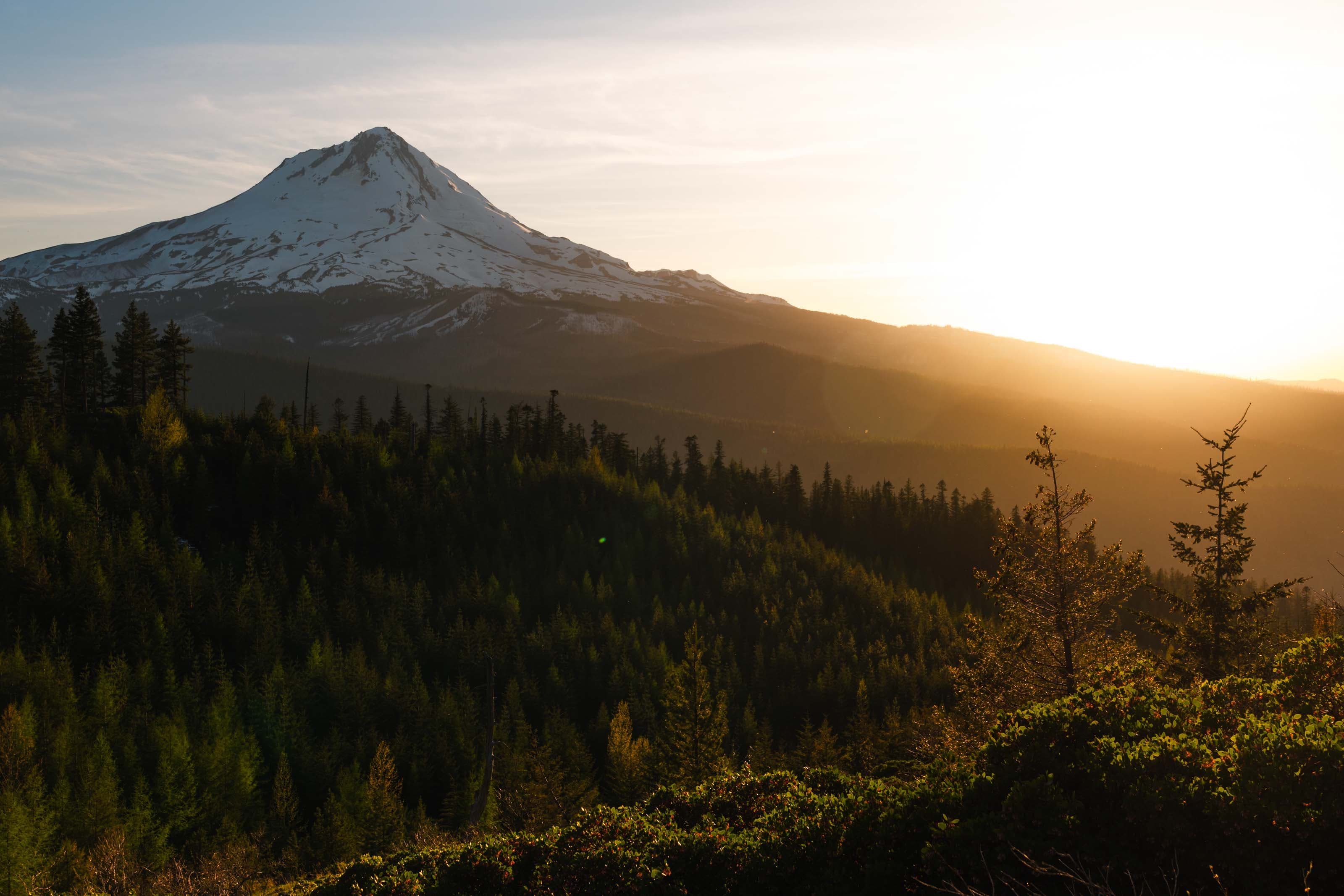 Wildlife photo 5 by Christian Raguse