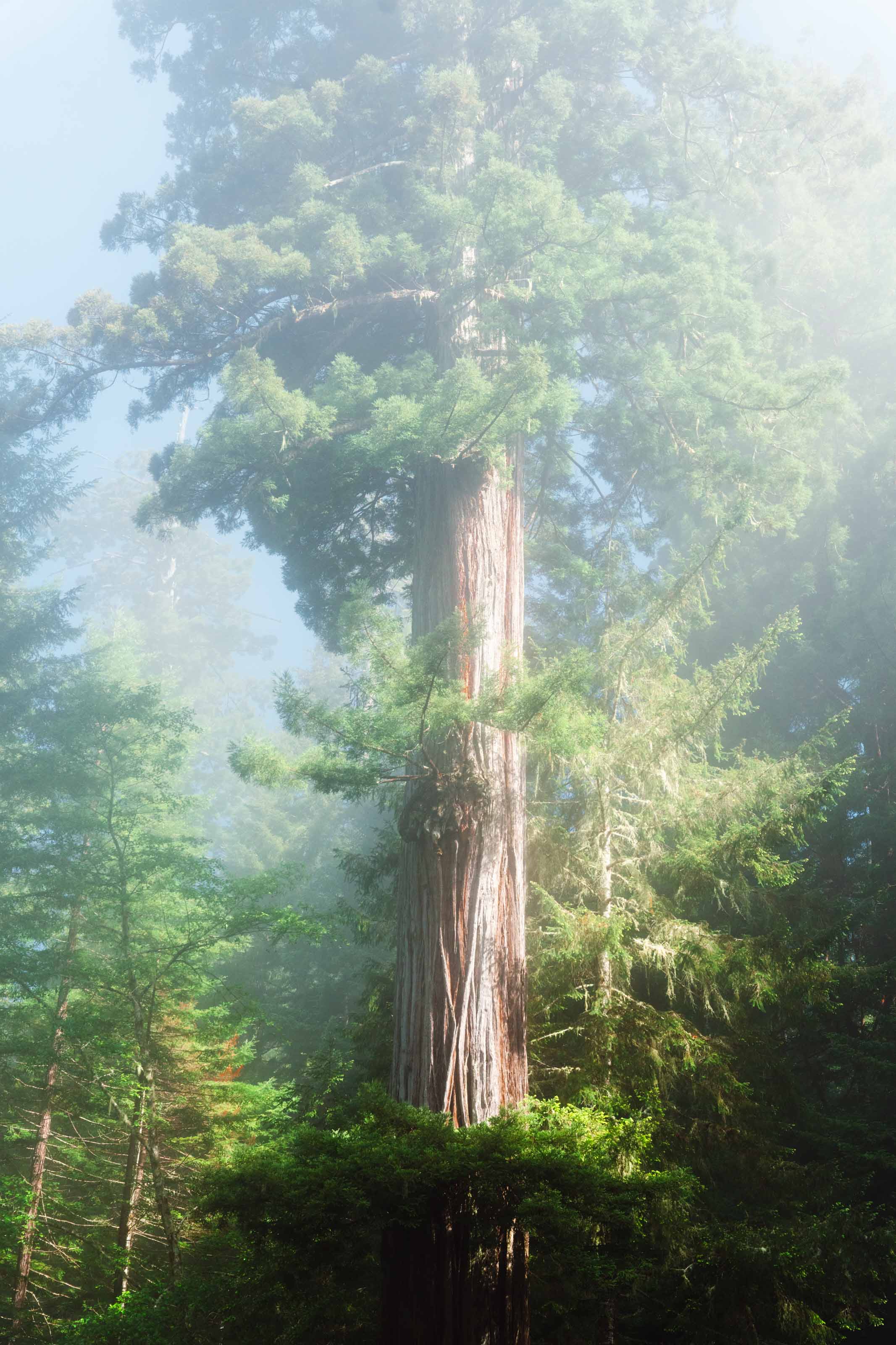 Wildlife photo 1 by Christian Raguse