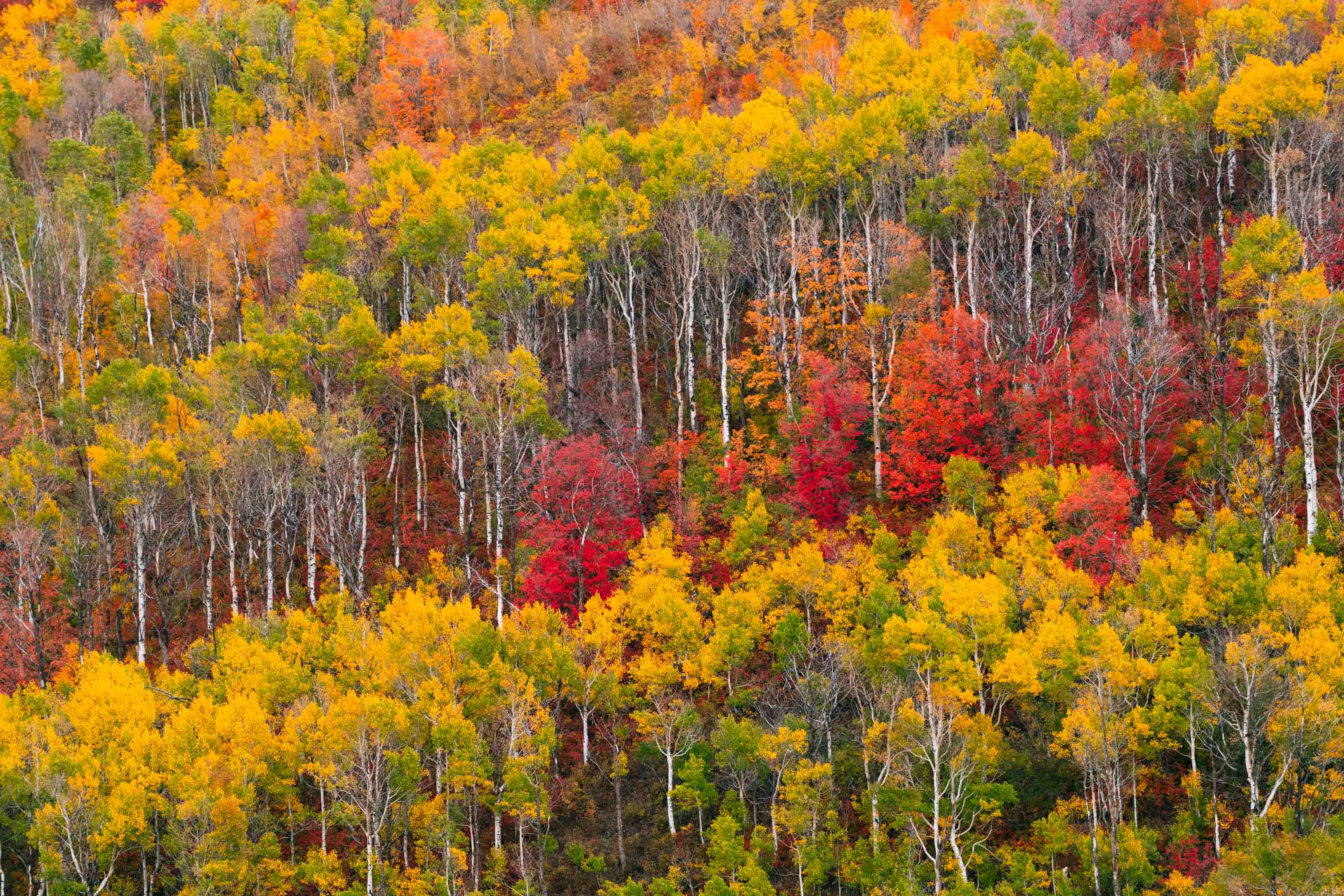 Wildlife photo 3 by Christian Raguse